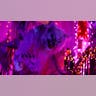 Giant werewolf figure set up with black lights