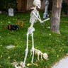 Skeleton figure in yard with skeletal dog and rooster