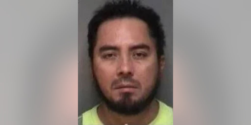 Illegal immigrant named in July 4 Virginia mass shooting plot sentenced for re-entering US illegally - Vimarsana News