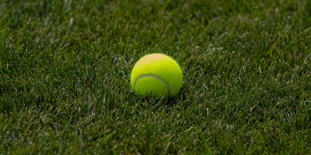 Professional tennis player gets 6-year ban for allegedly fixing matches