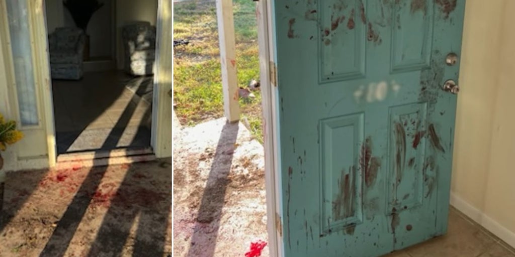 Florida burglary suspect arrested after neighbor, dog find trail of blood leading into home: deputies - Vimarsana News