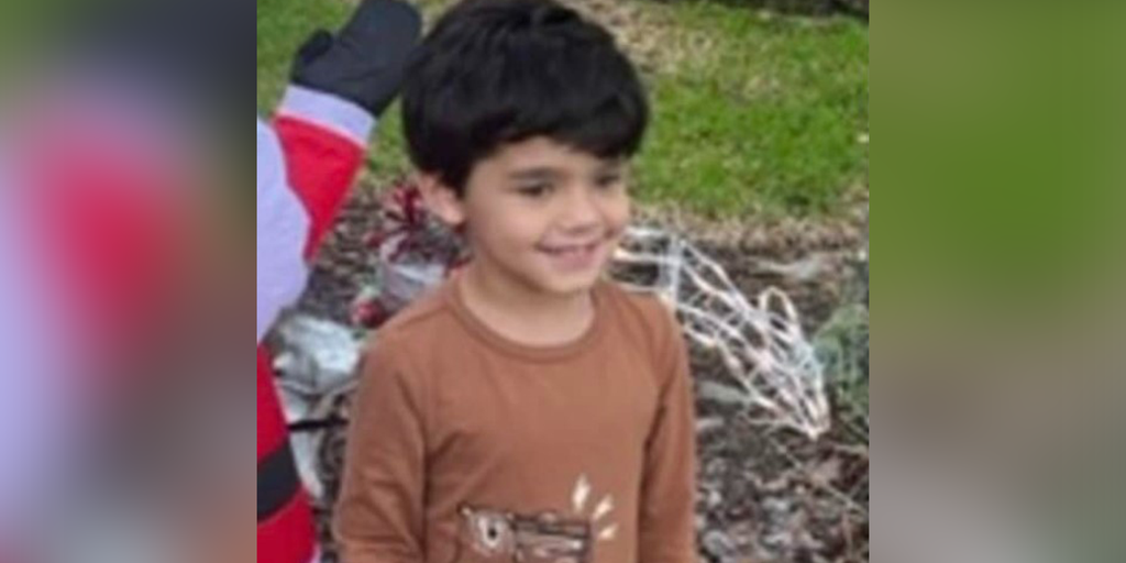 Autistic Florida boy, 5, found dead in pond after wandering from home - Vimarsana News