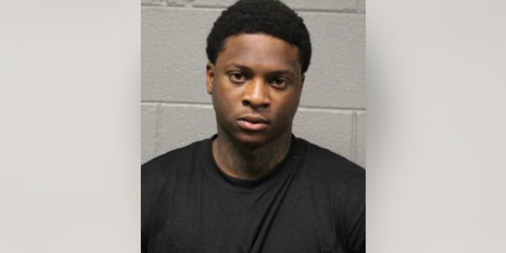Chicago man allegedly carjacked vehicle with baby inside, battered responding officer and paramedic - Vimarsana News