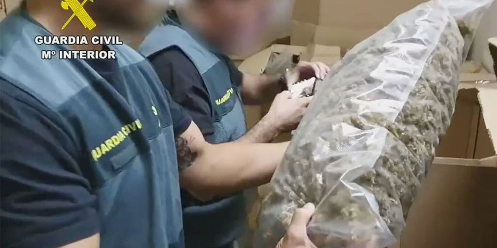 Spanish Civil Guard seizes 'largest stash of marijuana discovered' - Vimarsana News
