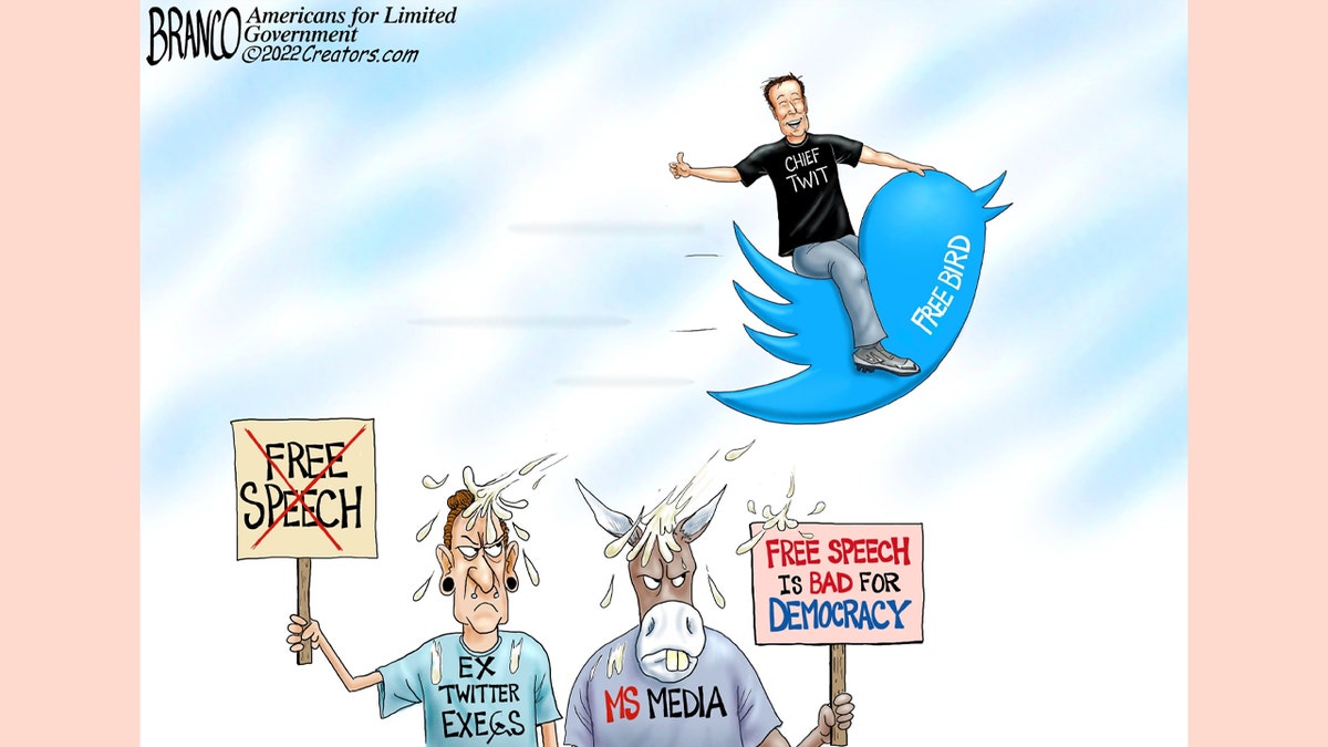Political cartoon illustrates Elon Musk's free speech initiative for Twitter