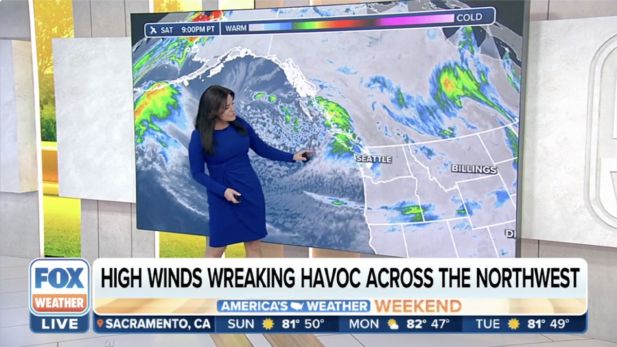 Fox Weather anchor in front of weather map showing high winds