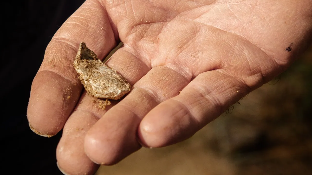 musket ball