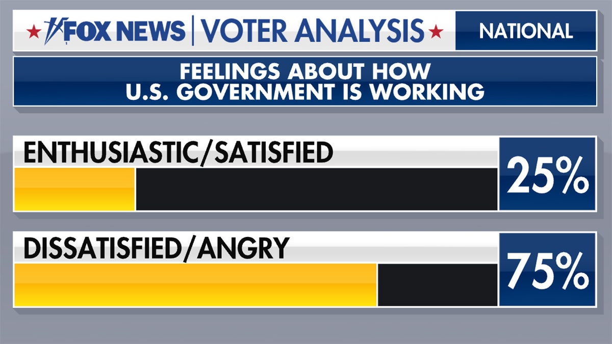 Voters on U.S. government performance