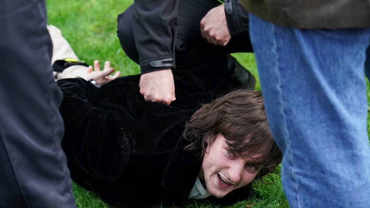 Protester who threw eggs at the king and queen consort was carried away by police