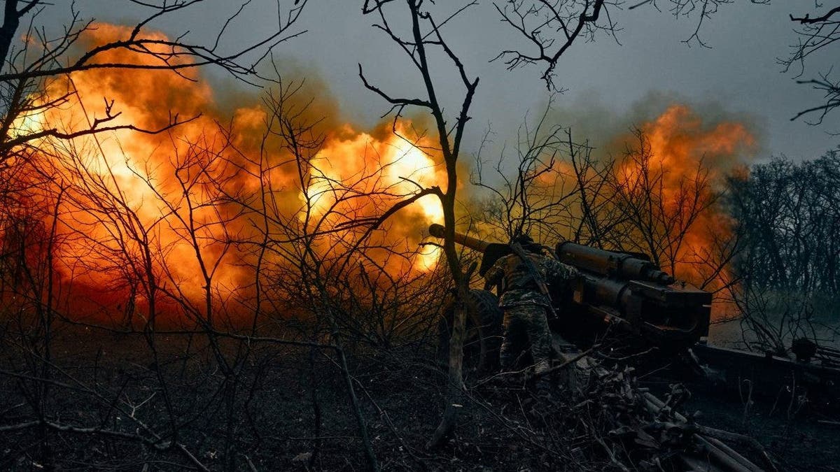 Ukraine strikes artillery