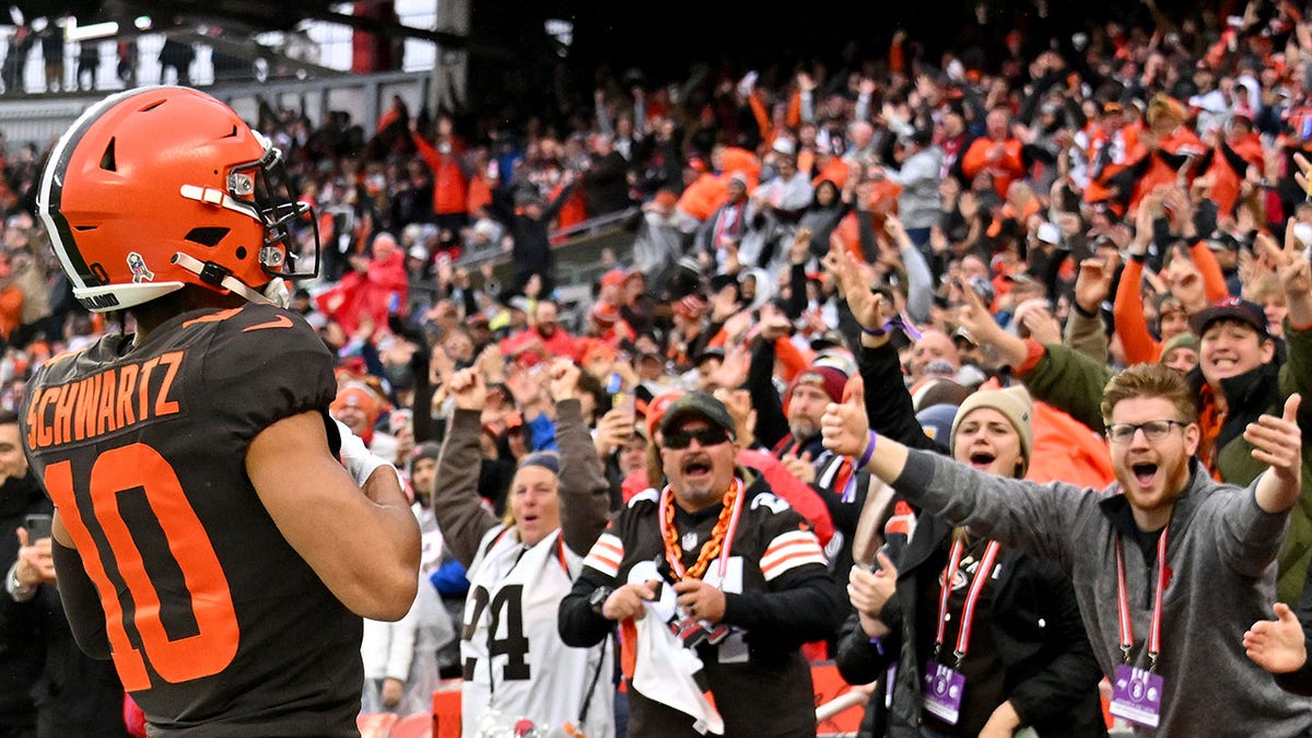 Watch: Skunk spotted in the stands during Browns-Buccaneers game 