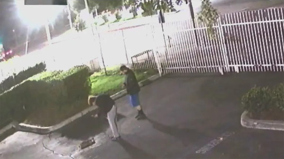 Cat mutilated in California