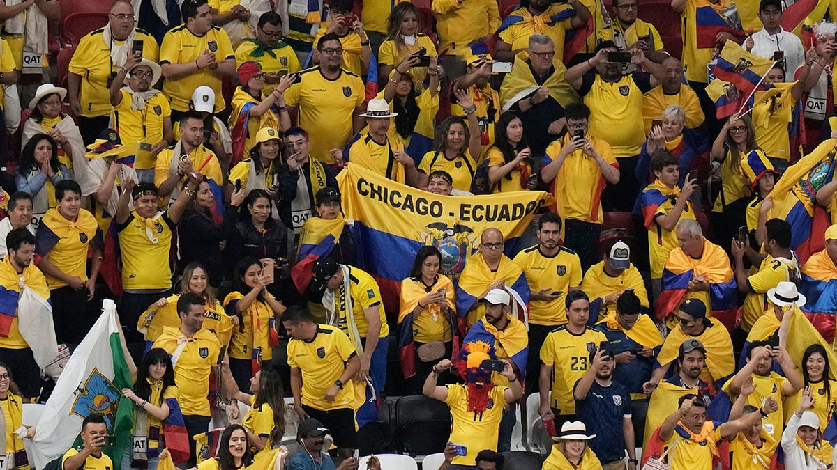 Ecuador's fans celebrate