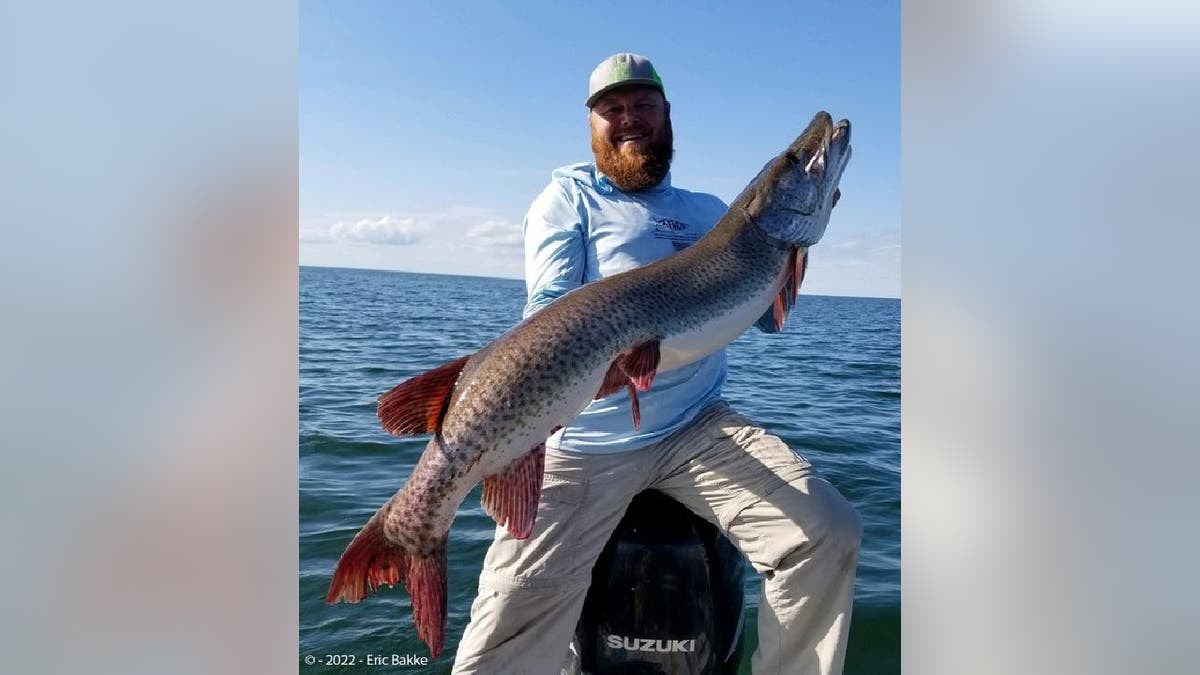 Minnesota man's record-breaking fish certified months after catch and  release: 'Still out there