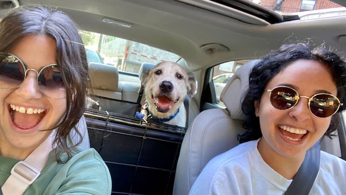 NYC family finds their lost dog after 5 months — at a pet adoption event