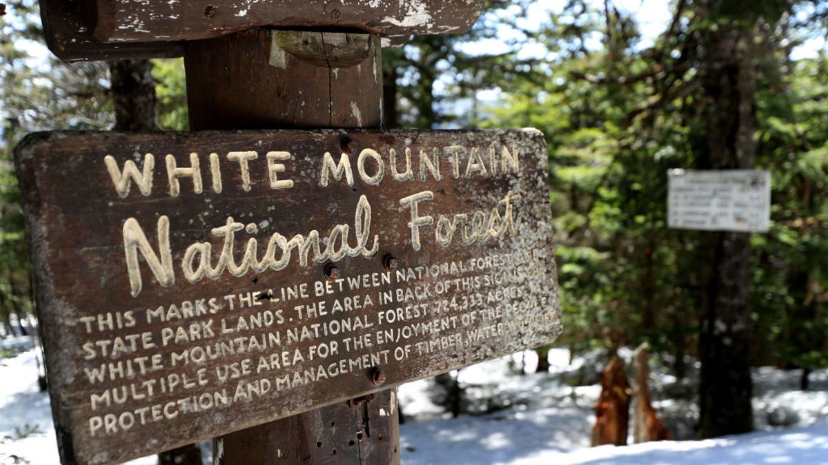 White Mountain National Forest trail sign