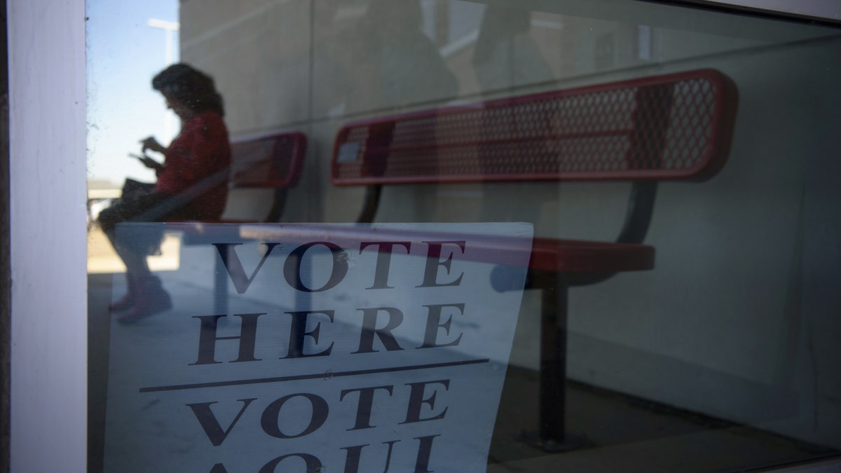 Texas voter