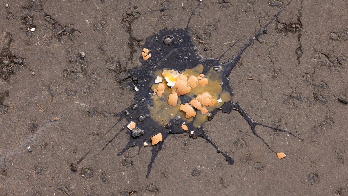 Egg shells on the ground