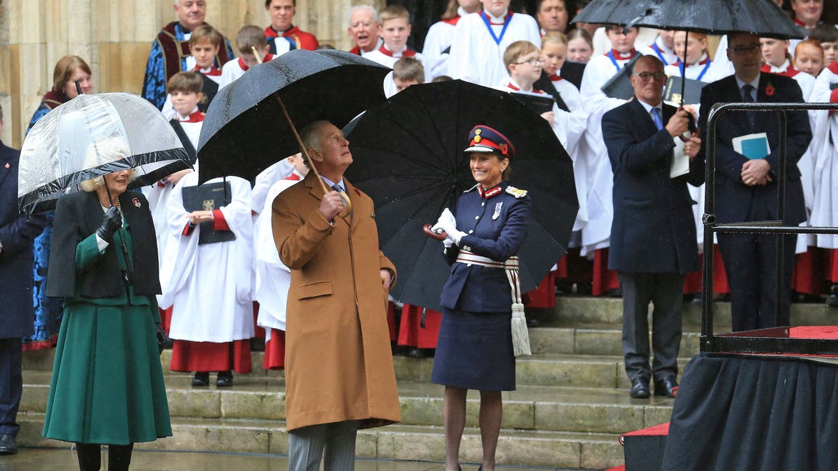 King Charles looks up as a statue honoring his mother is unveiled