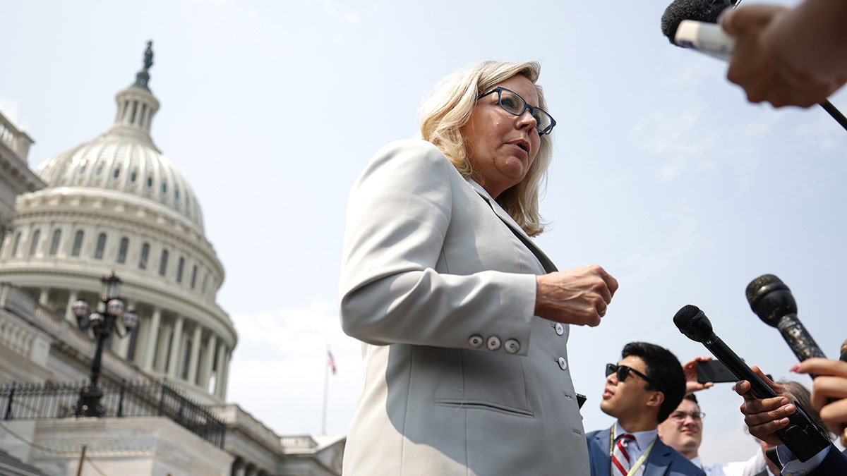 Liz Cheney outside the Capitol
