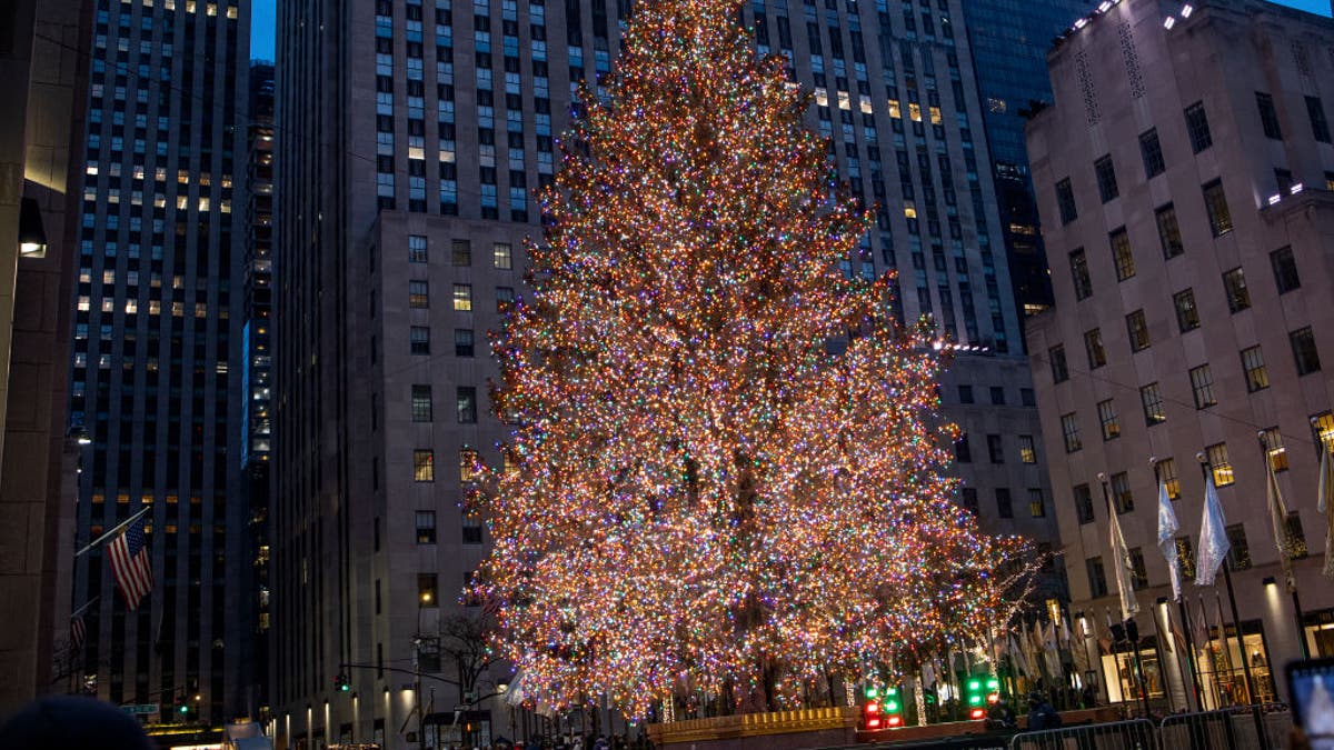 Rockefeller Christmas tree lit in NYC