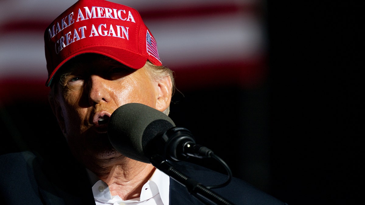 Donald Trump in a MAGA hat