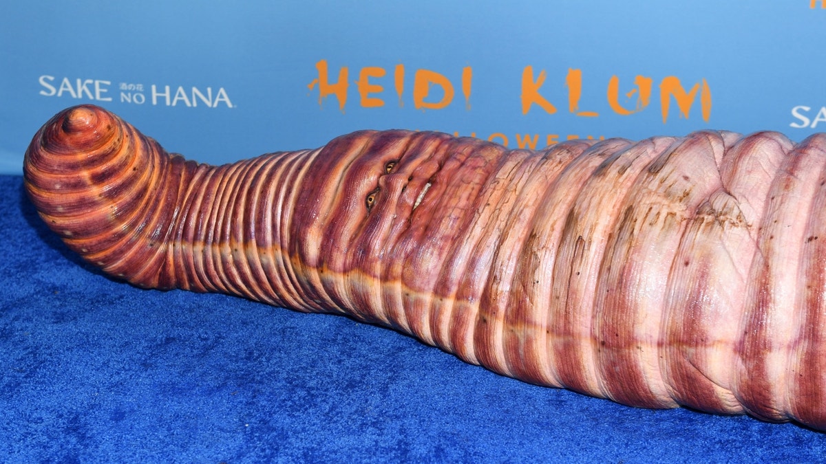 Heidi Klum laying down in worm costume