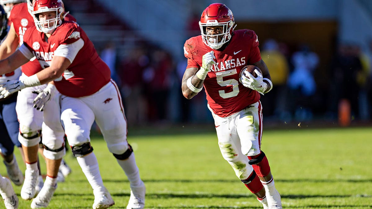 Raheim Sanders runs against Liberty