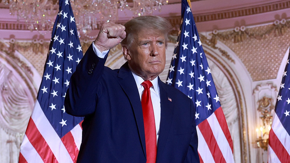 Donald Trump holds his fist in the air