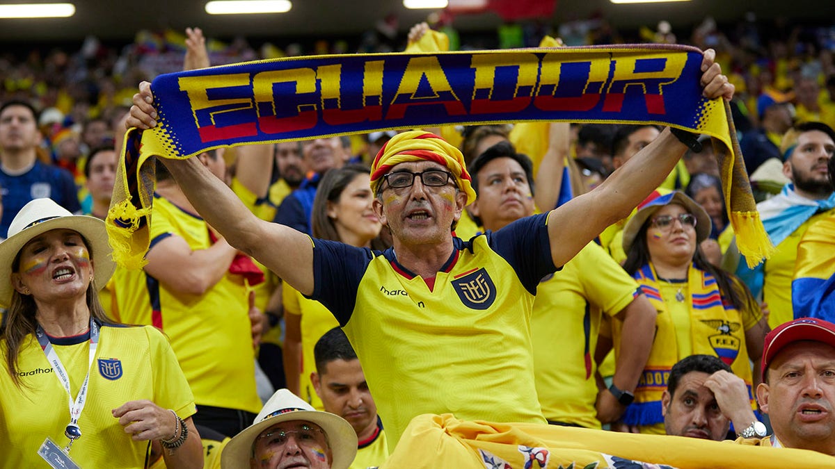 Ecuador fan cheers at the World Cup opening match