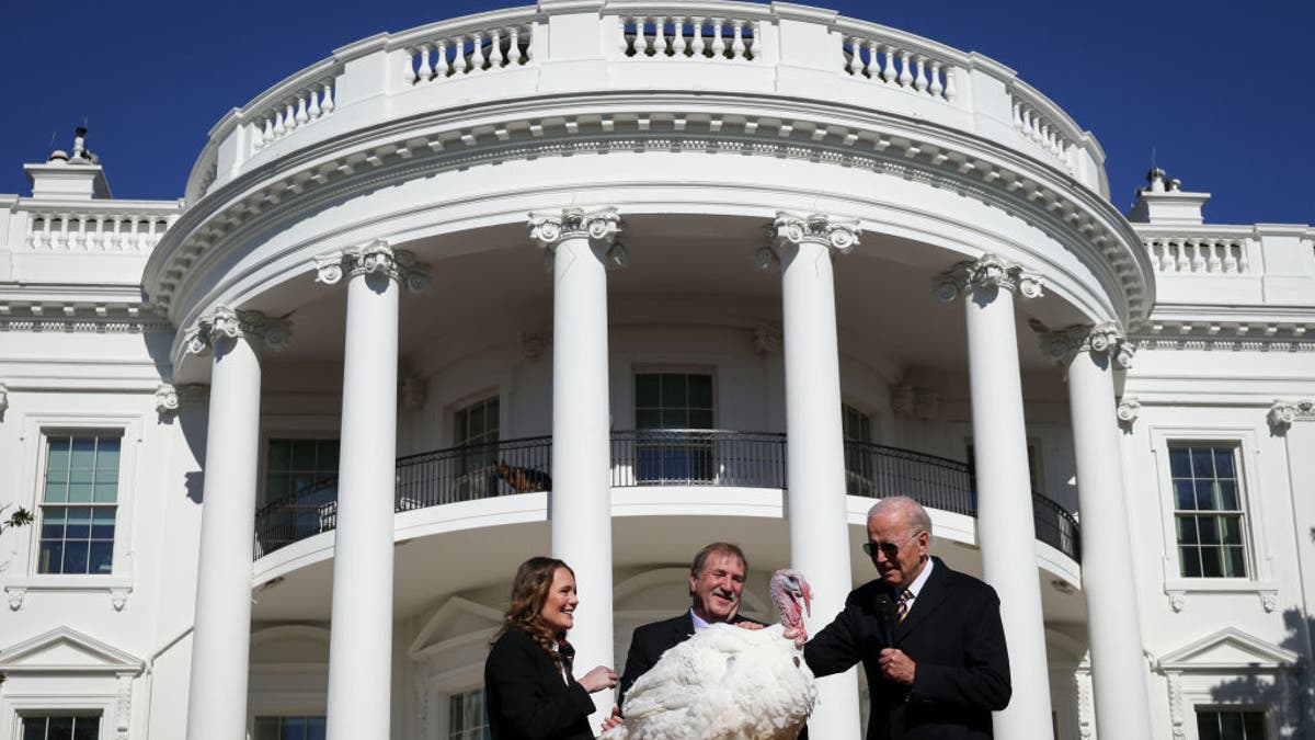 Biden White House Thanksgiving turkeys