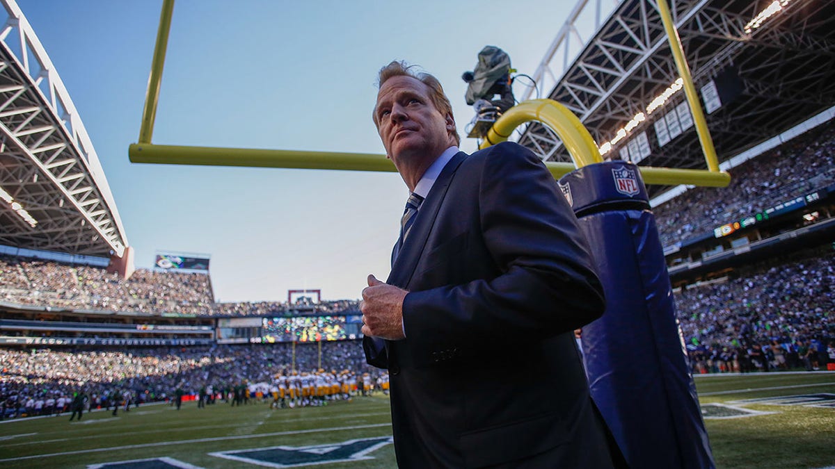 Roger Goodell on the field in 2014