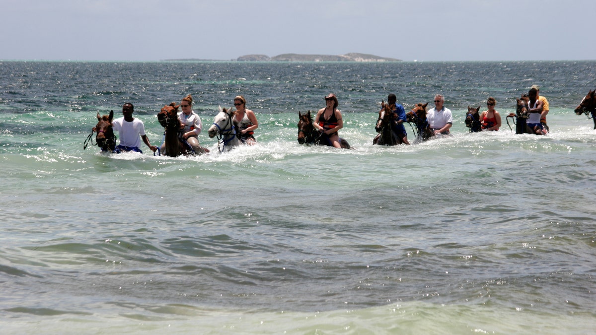 A horseback riding tour walking through the Ocean in Grand Turk.