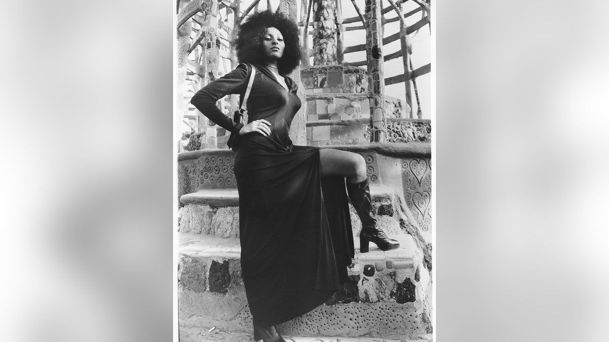 Pam Grier posed for a publicity photo for her movie 'Hit Man'