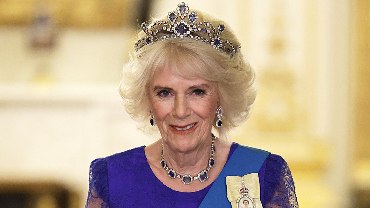 Queen Consort Camilla at the state banquet