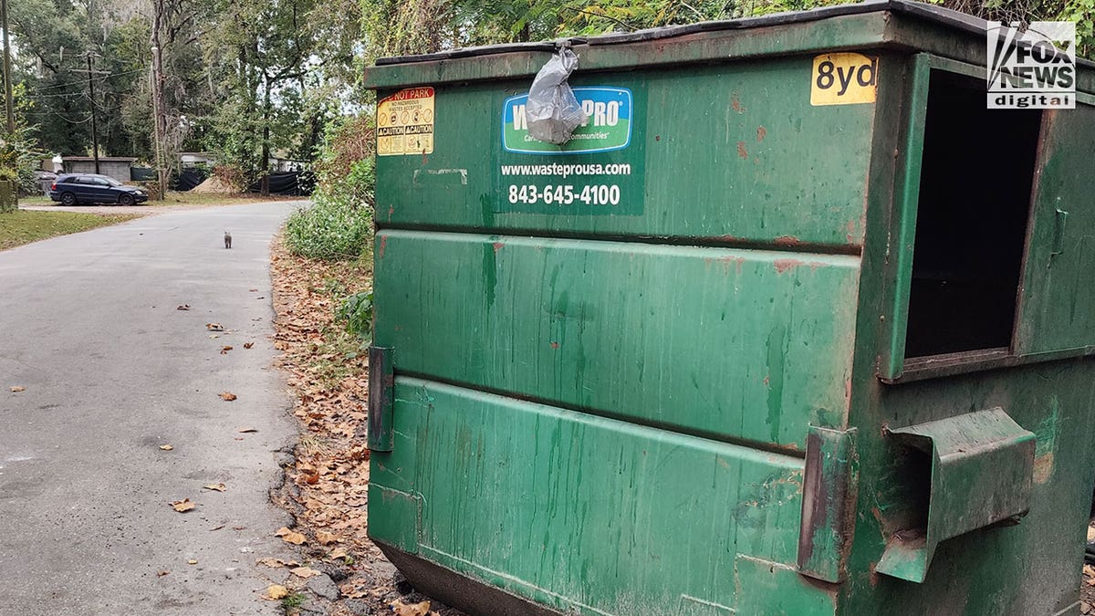 dumpsters photographed leilani simon 