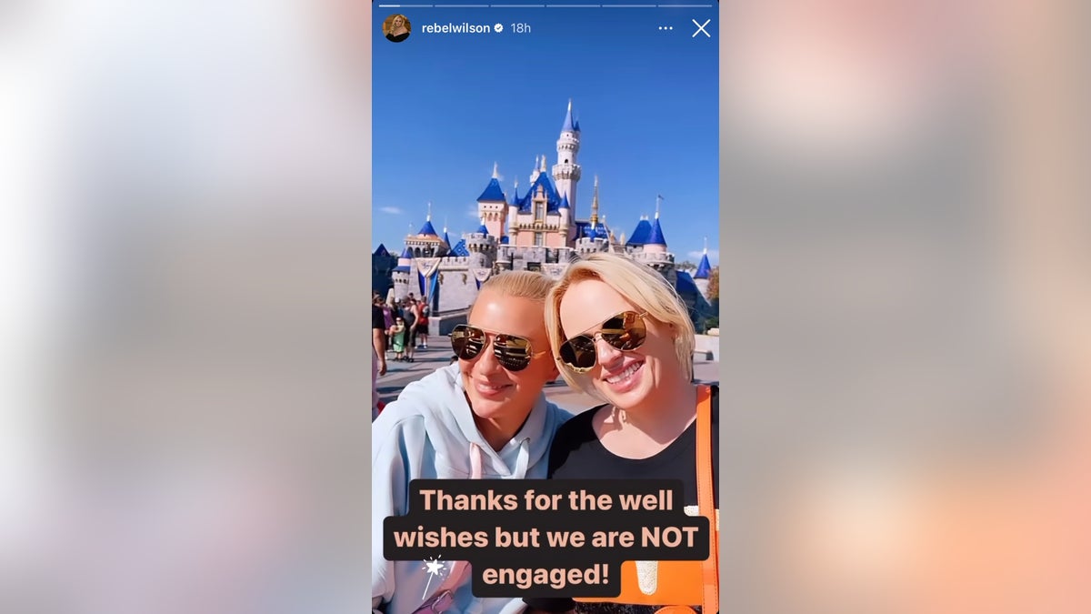 Rebel Wilson and her girlfriend Ramona Agruma smile in front of Cinderella's castle at Disney Land