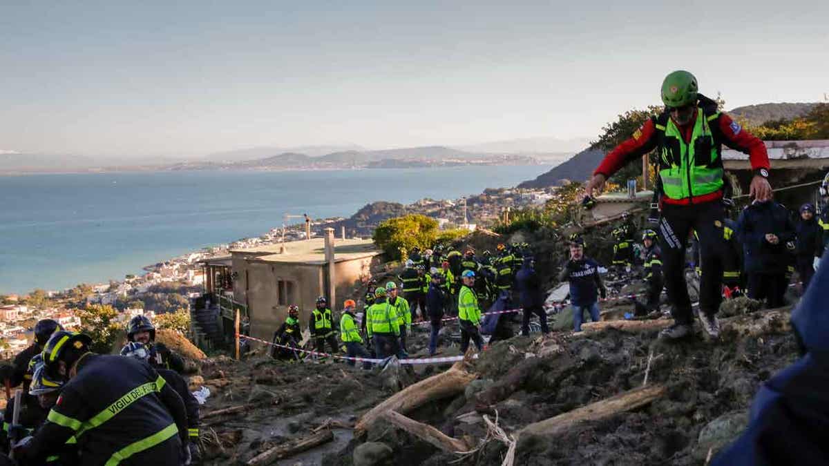 A dog is extracted from debris from the Ischia landslide