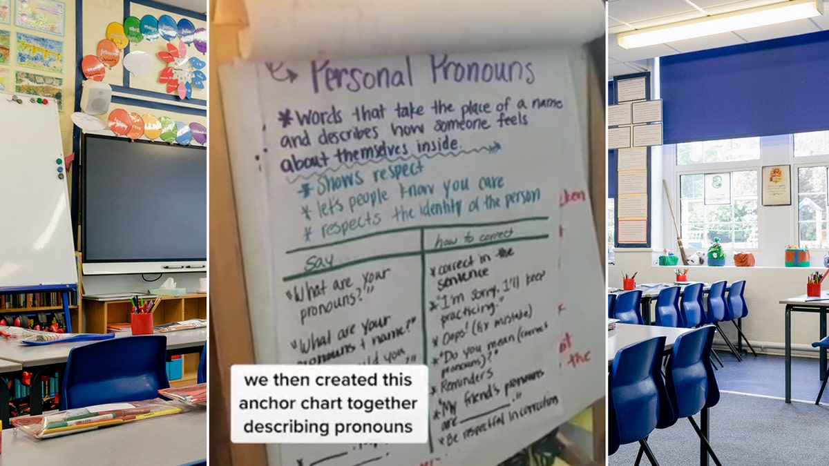 TikTok pronouns gender identity 