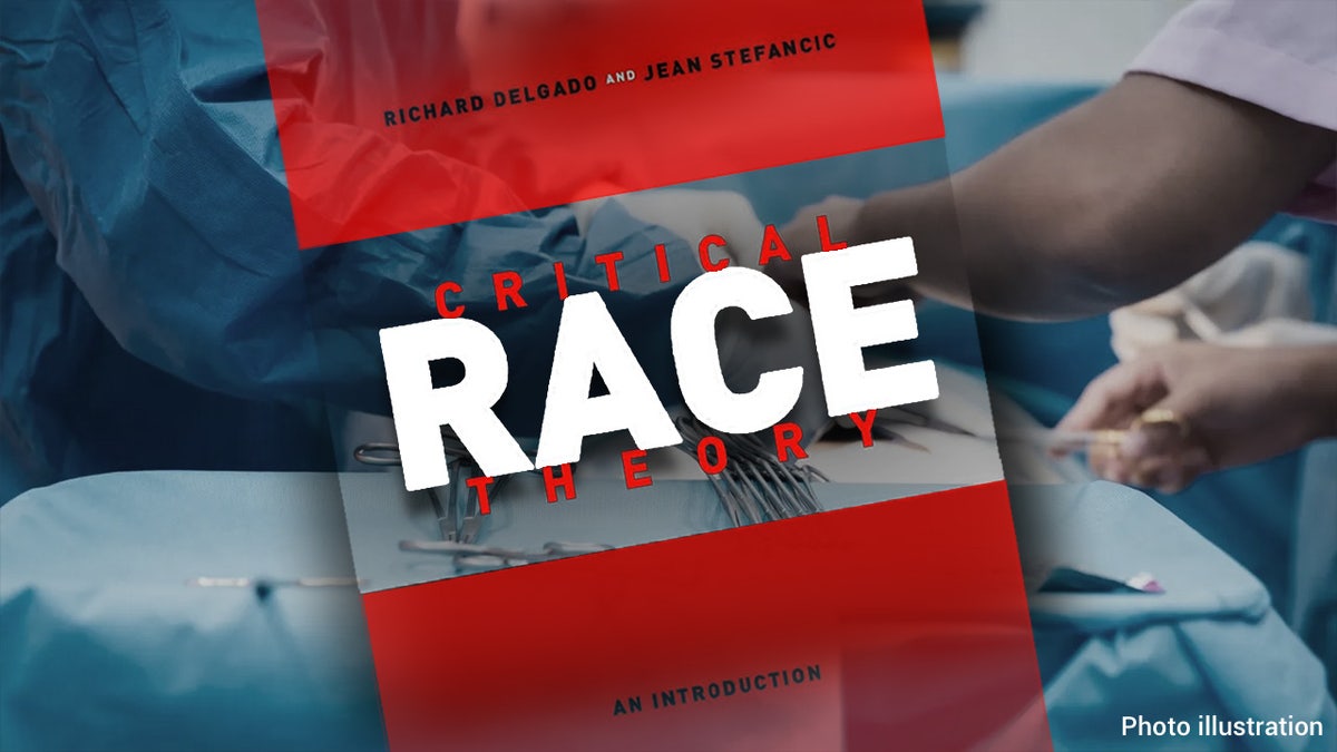 critical race theory and Turtle Island