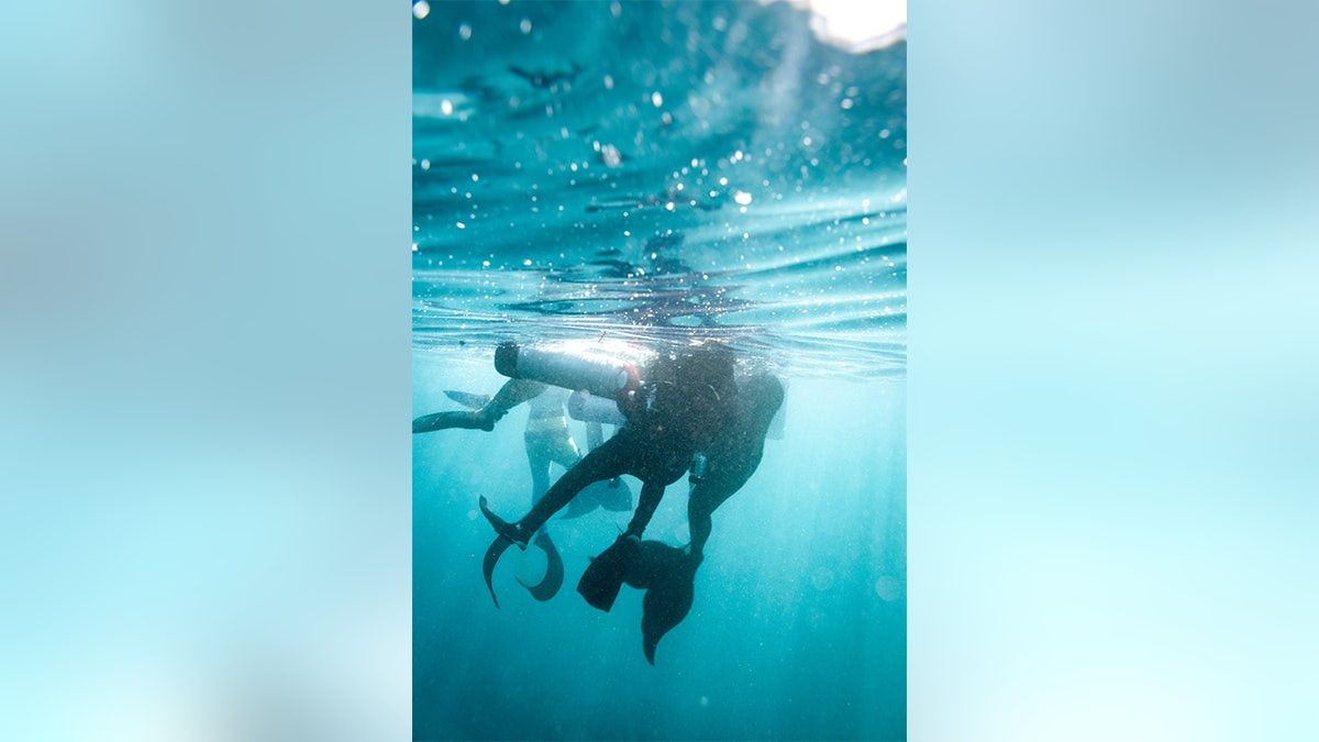 Real-life shot of mermaids saving a scuba diver
