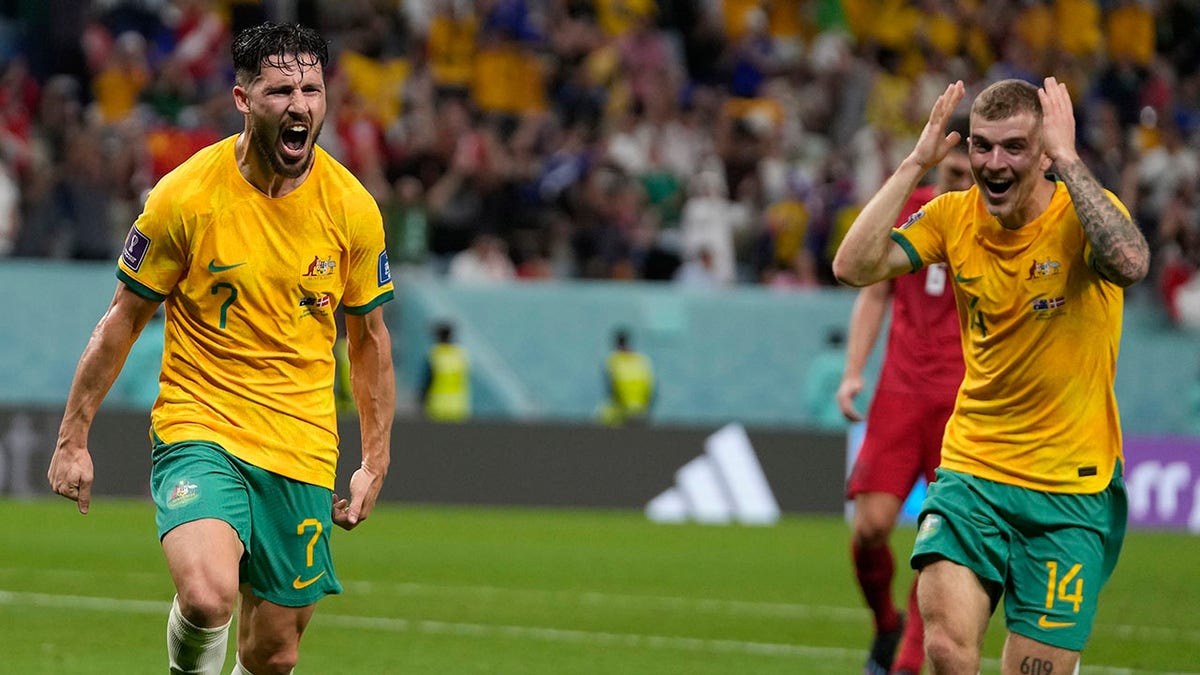 Mathew Leckie scores vs Denmark