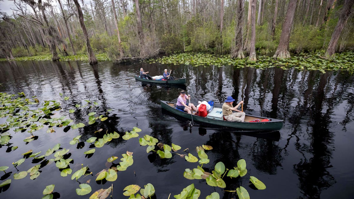 Okefenokee Mining Plan