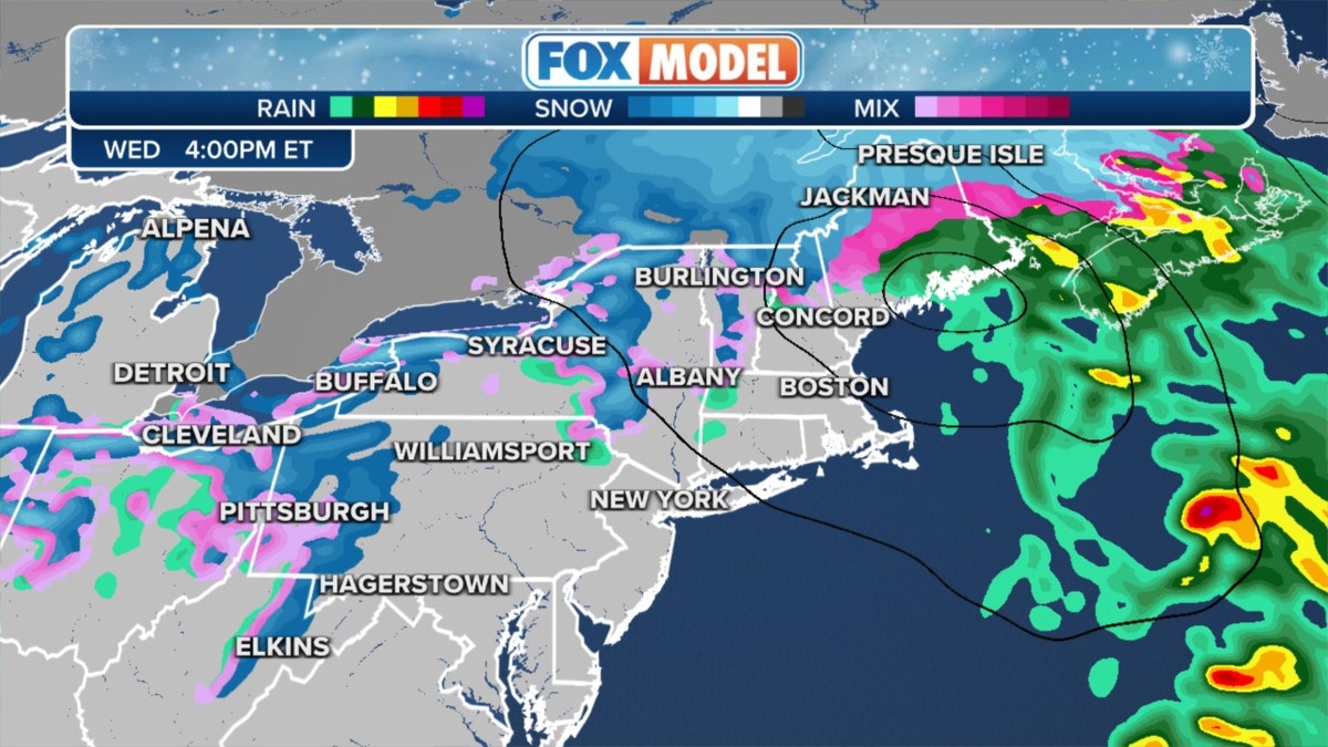 Northeast Fox weather model