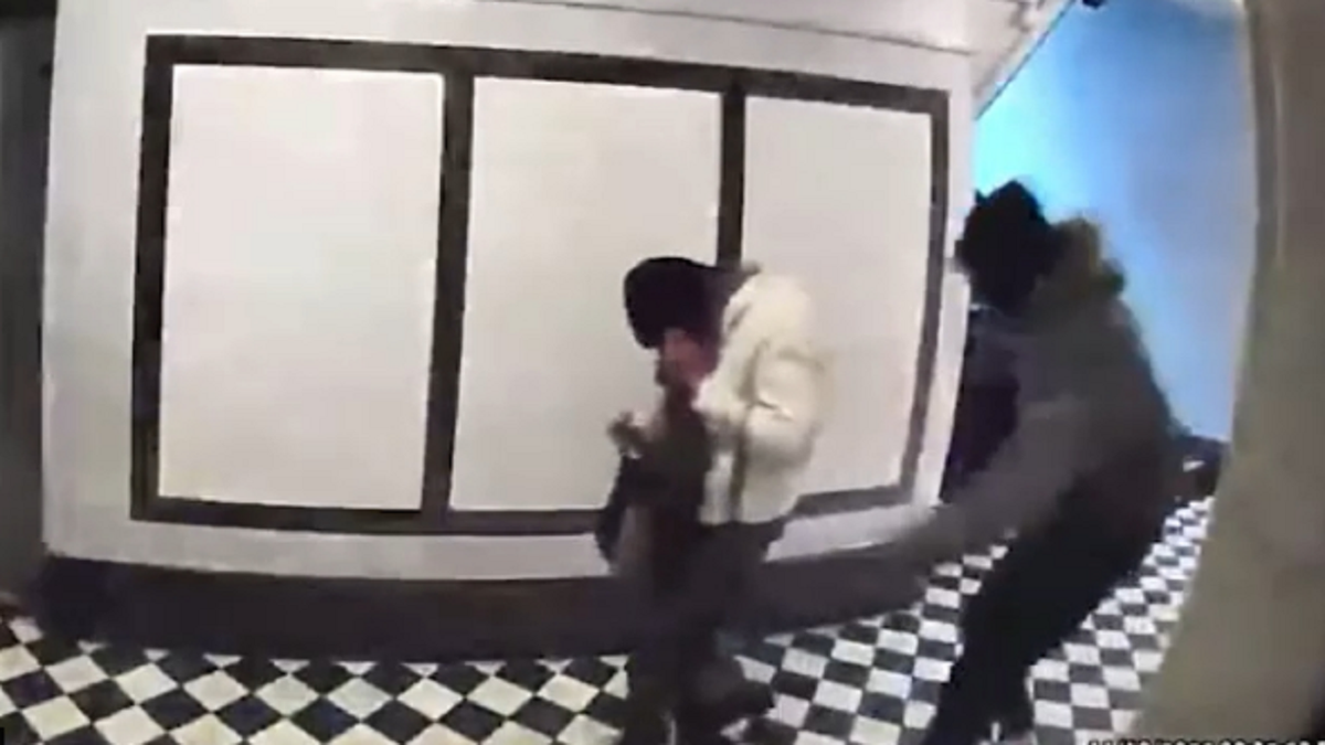 Video Shows Nyc Woman 77 Being Thrown To Ground During Robbery Inside Bronx Apartment Building 2878