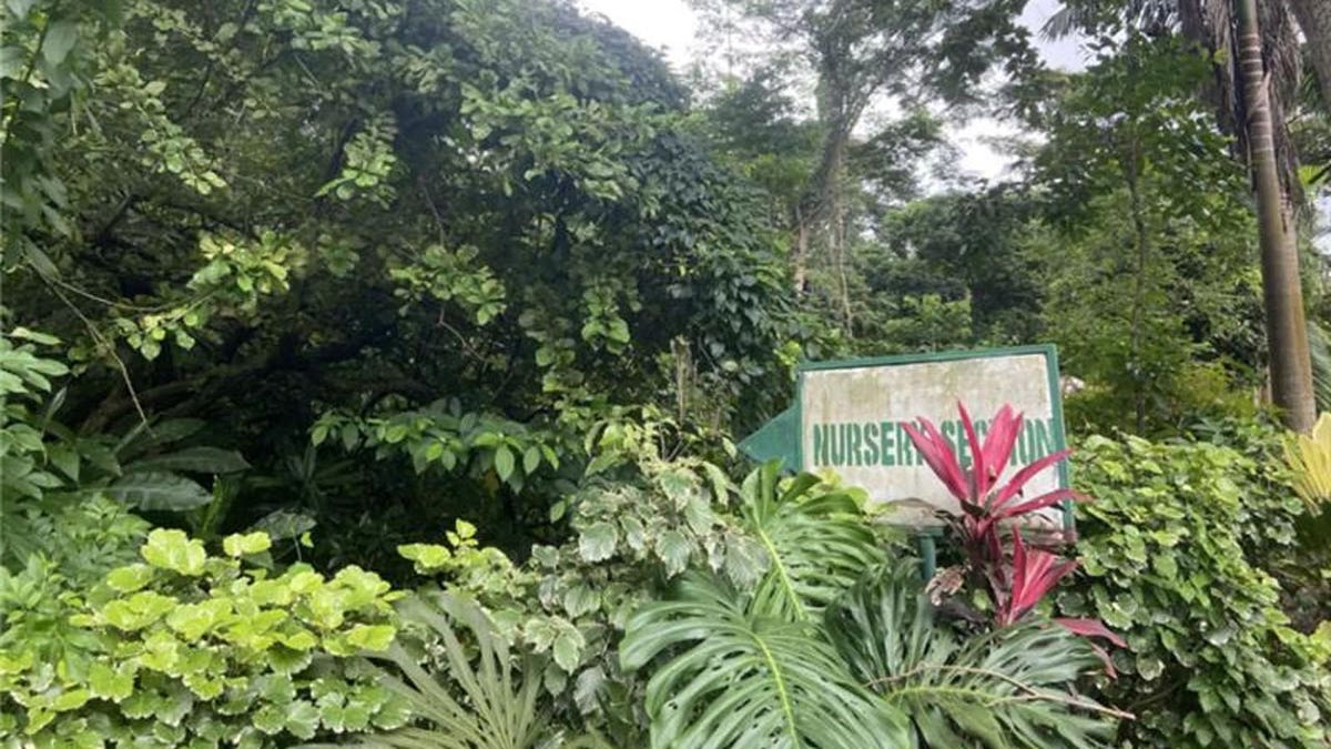 The University of Ibadan’s botanical garden