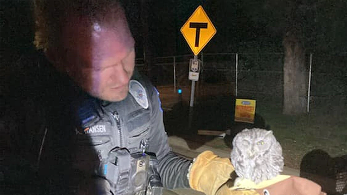 Arizona police pull over a man for DUI, find meth, owl in car