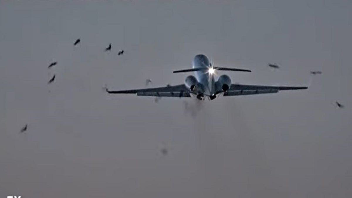 Military plane hit flock of birds in Chicago