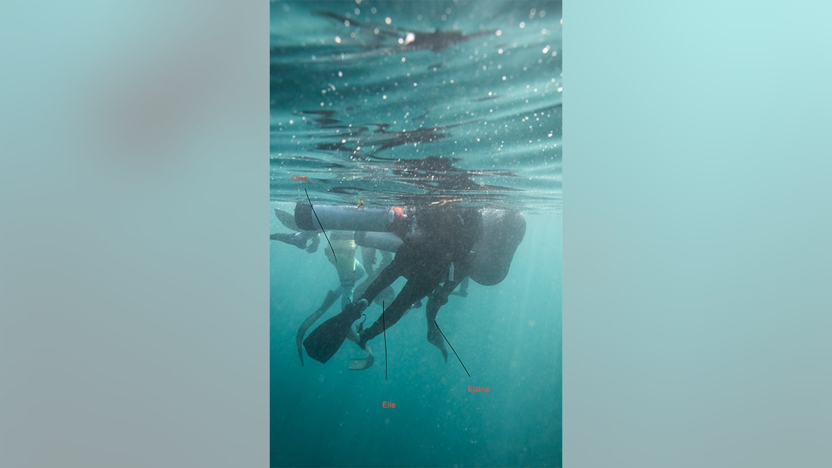 Heroic professional mermaids Elle Jimenez, Elaina Garcia and Great Chin Burger rescue scuba diver