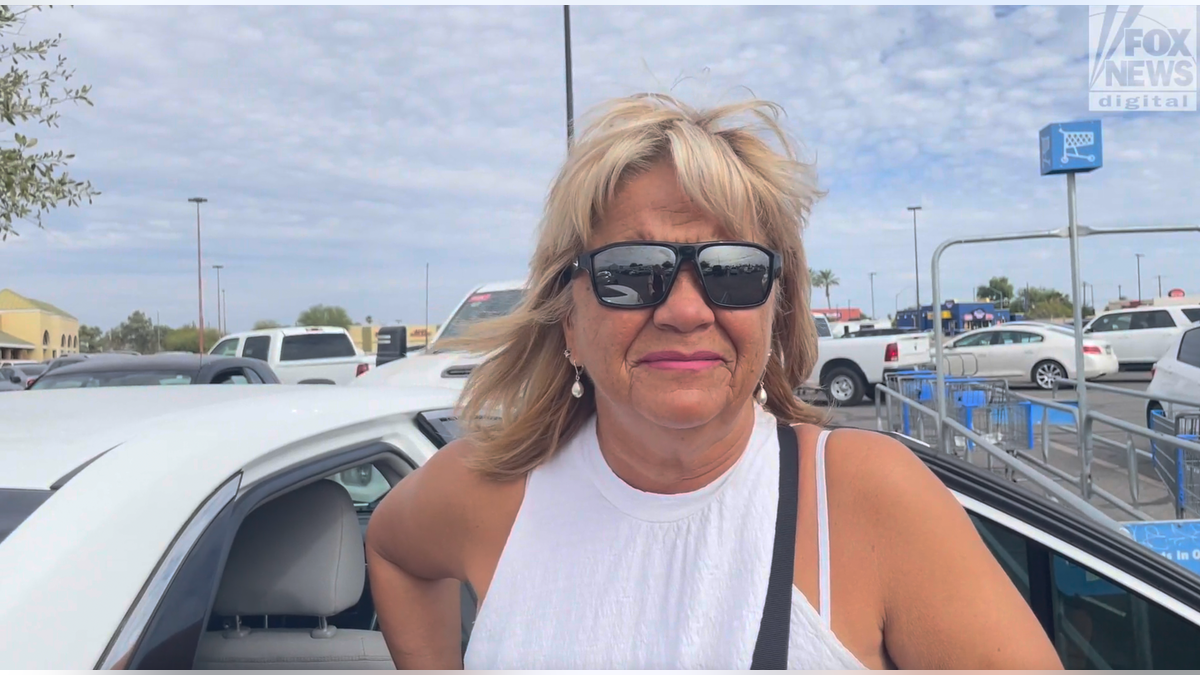 Arizonan voter on shipping containers at border wall